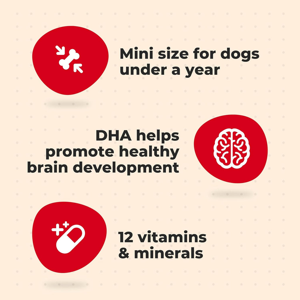 Milk-Bone Mini’s Original Biscuits, Mini Dog Treats, 6 Boxes