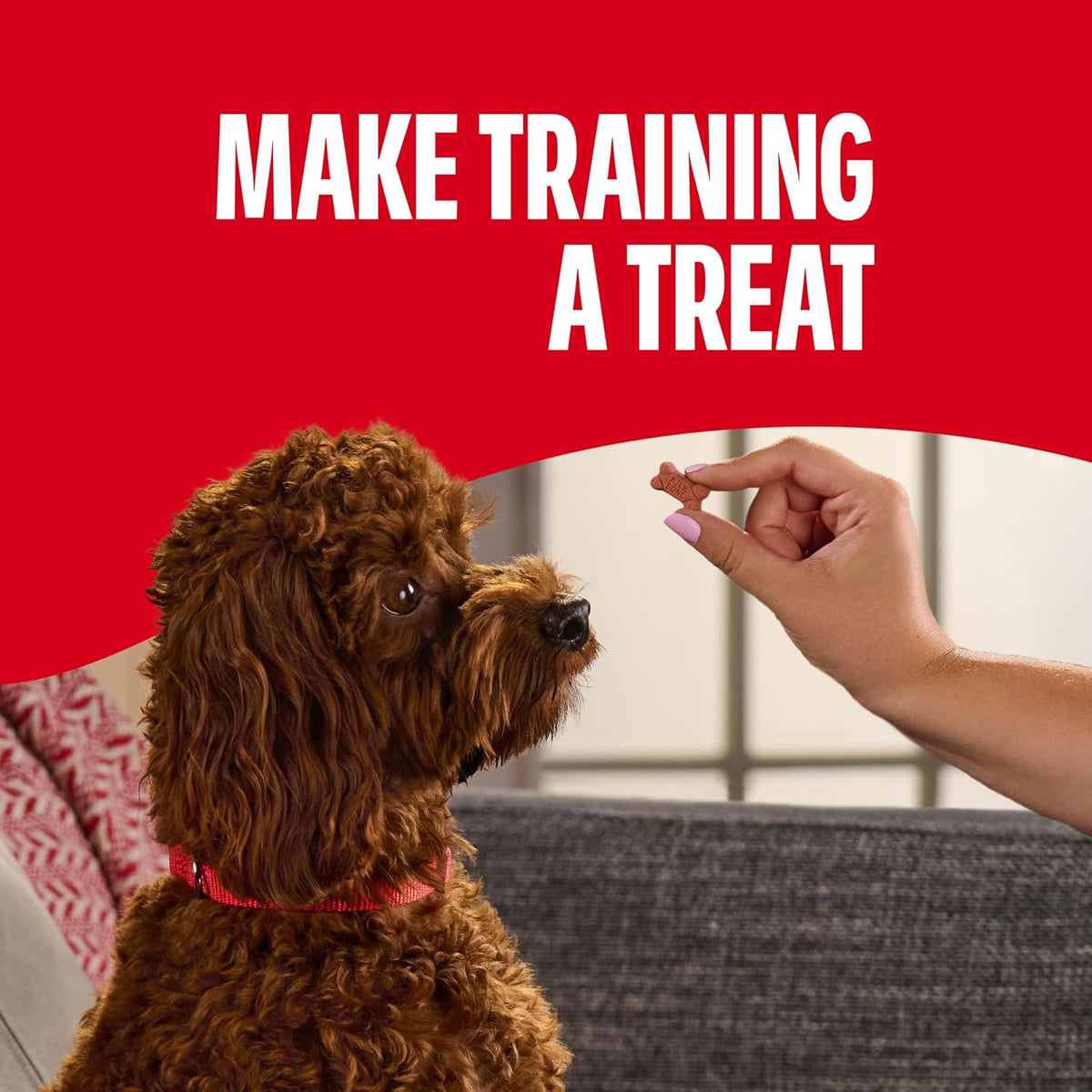 Milk-Bone Soft & Chewy Mini's Dog Training Treats, 18 oz Canister