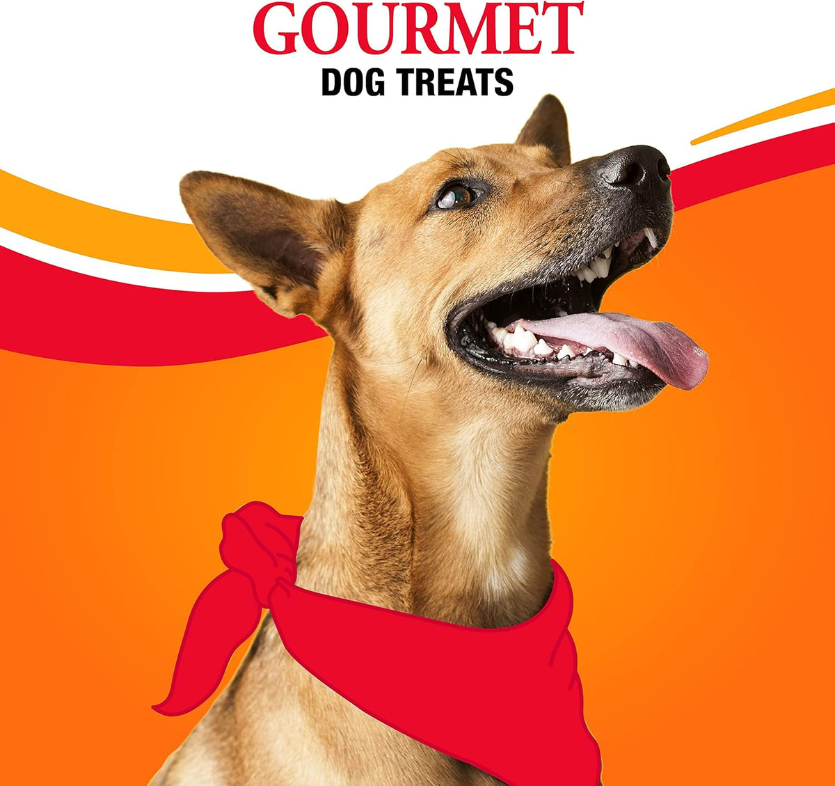 Good 'n' Fun Kabobs Long-Lasting Dog Treat Made With Real Protein, 48 oz