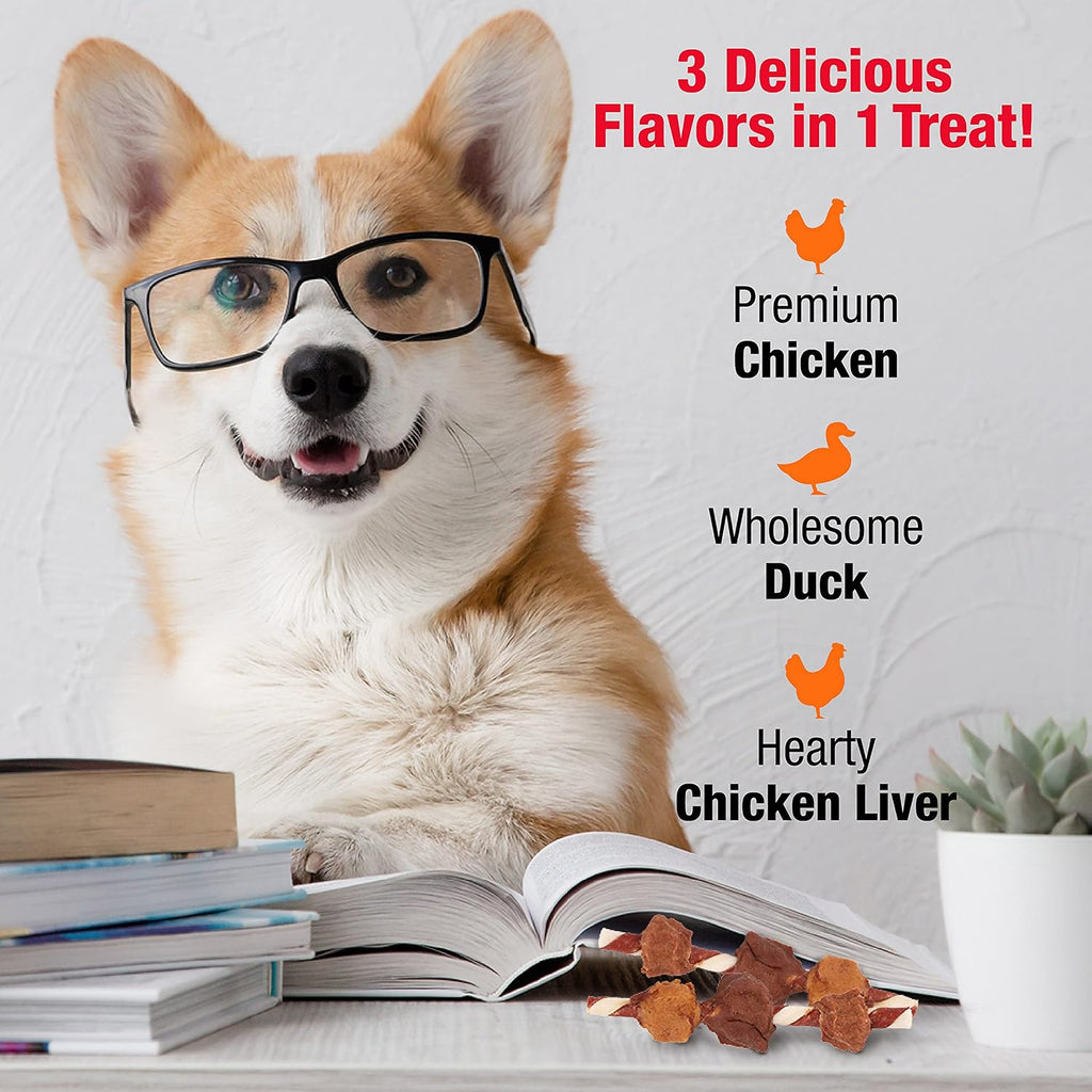 Good 'n' Fun Kabobs Long-Lasting Dog Treat Made With Real Protein, 48 oz