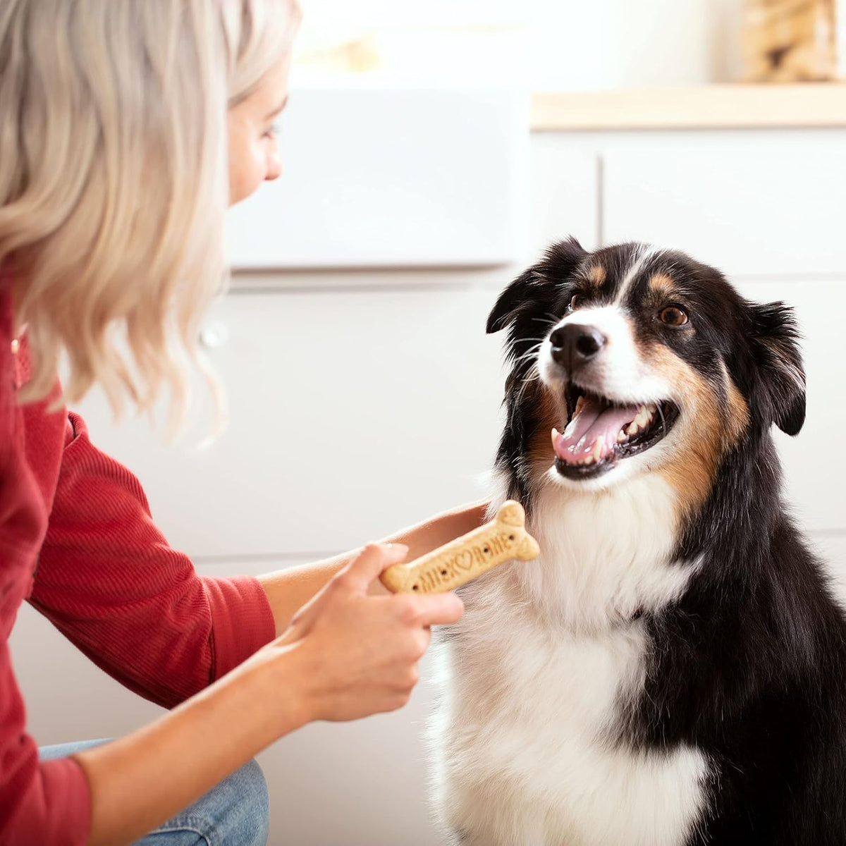 Milk-Bone Mini’s Original Biscuits, Mini Dog Treats, 6 Boxes