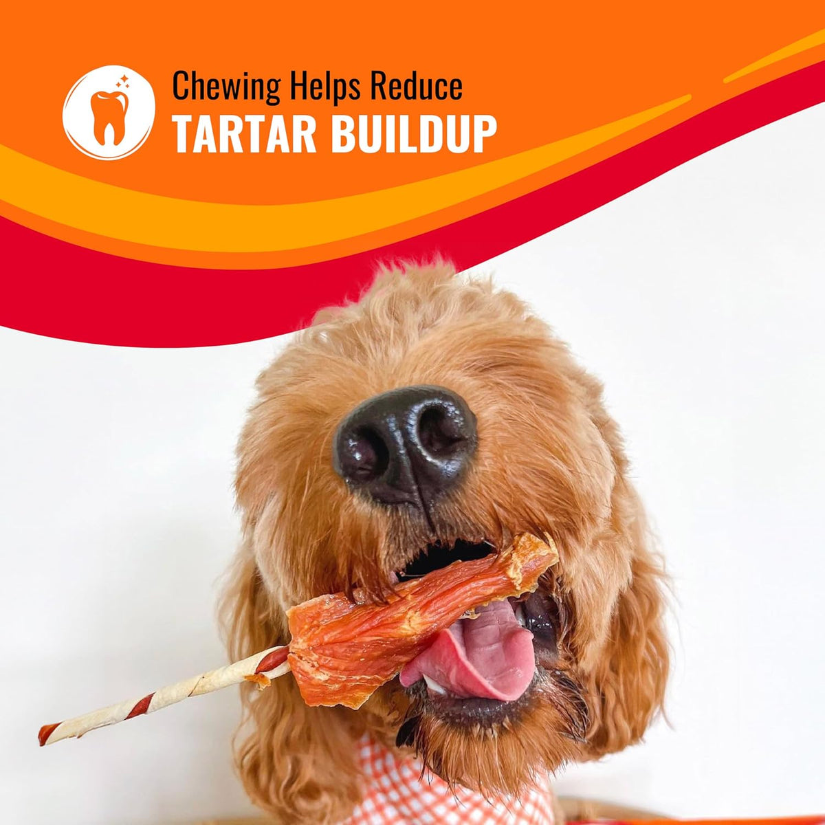 Good 'n' Fun Kabobs Long-Lasting Dog Treat Made With Real Protein, 48 oz
