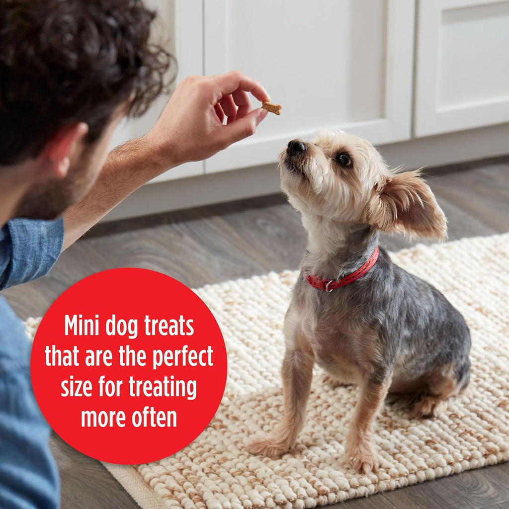 Milk-Bone Soft & Chewy Mini's Dog Training Treats, 18 oz Canister